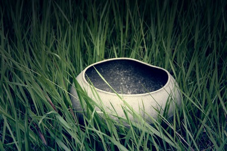 empty cauldron on the grass on the Halloween.の写真素材