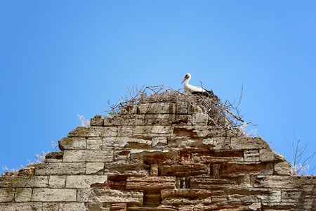 nest of stork on Old German church. Photo. Ukraineの写真素材