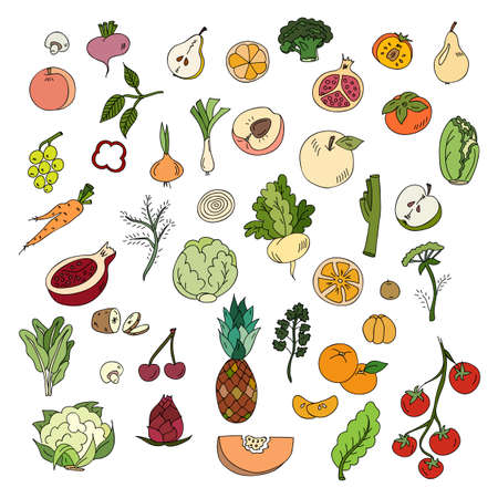 Set colors elements vegetables and fruits. Vegetarian food.のイラスト素材