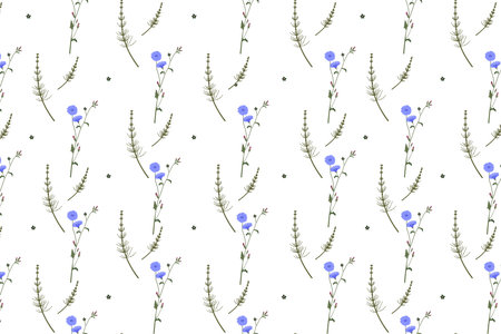 Wild herbs and flowers colorful seamless pattern with chicory, horsetail, Vector illustration on white background for on-screen or printed design on paper or fabricのイラスト素材