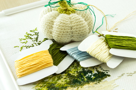 Fragment of embroidery in natural colors. Selection of threads for embroidery and a cushion for needles. Light background. Selective focus. Close-up.の写真素材