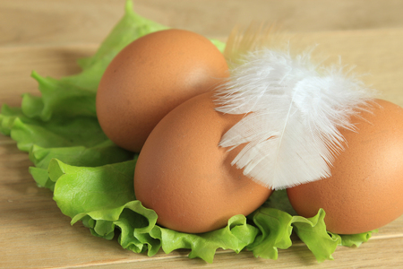 Fresh chicken egg. Close-up.の写真素材