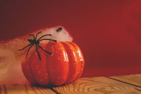 Halloween holiday concept. Pumpkin, spider and cobweb on a red background. Colorful halloween background.の写真素材