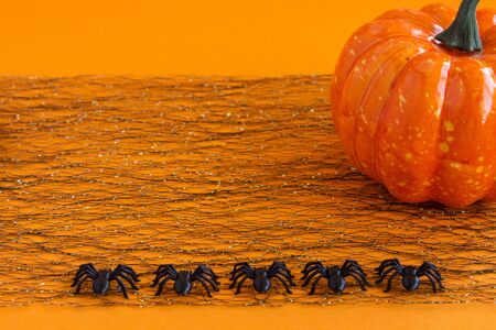 Halloween background. Spiders and pumpkin on an orange background. Traditional halloween attributes. Place for text.の写真素材