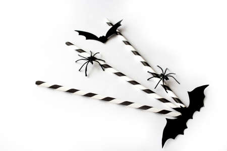Hallowne. Bat and spiders. Halloween decor elements on white background. Decor concept for the autumn holiday. Flat layout. Selective focus.の写真素材