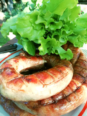 Grilled sausage rings and lettuce leaves. Family lunch outdoors. picnic.の写真素材