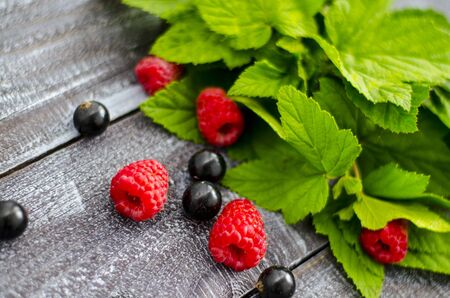 On a wooden background, fresh leaves of currant, raspberry and currant. Copy space. Close-up.の写真素材