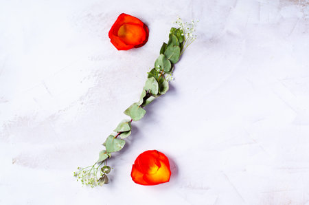 Symbol of percent from rose petals and twigs for decor. Percent symbol, made from yellow-red petals...