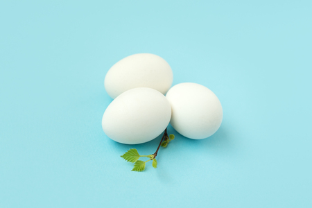 happy easter egg and branch with young leaves on turquoise backgroundの写真素材