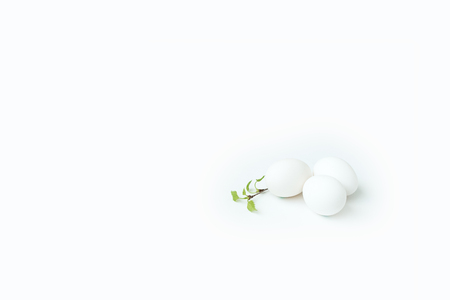 happy easter egg and branch with young leaves on white   backgroundの写真素材