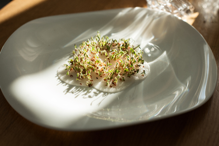 sprouted seeds. sprouts seed cress lettuce. first seedbed leaves from grain. greens, vegetarianism, raw foods, veganの写真素材