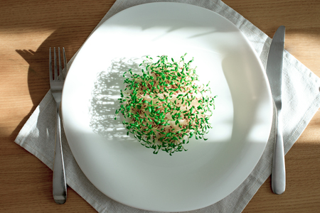 sprouted seeds. sprouts seed cress lettuce. first seedbed leaves from grain. greens, vegetarianism, raw foods, veganの写真素材