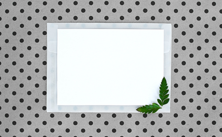 flatley on turquoise background with white paper sheet for text and fern leaves,  top view, space for text, copy space peas, polka dots background, natural colorの写真素材