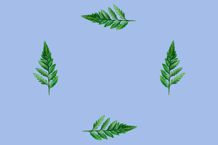 flat lay on purple, lilac  background  for text and fern leaves,  top view, space for text, copy spaceの写真素材