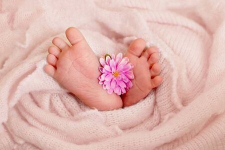 Feet of the newborn baby girl with pink flowers, fingers on the foot, maternal care, love and family hugs, tenderness.の写真素材