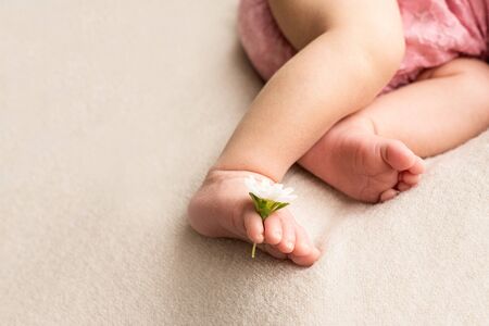 feet of the newborn baby with flower, fingers on the foot, maternal care, love and family hugs, tendernessの写真素材