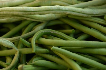 green beans is raw, harvested on wooden background. legumes, vegetarianism and gardeningの写真素材