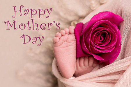 feet of the newborn baby with pink rose flower, Mother's day. maternal care, love and family hugs,...