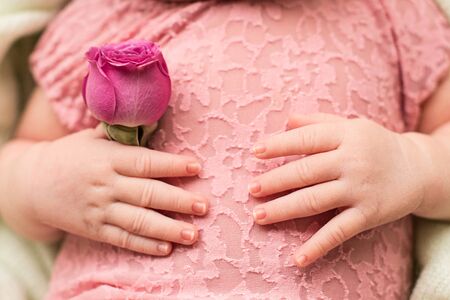 hands of the newborn baby with pink rose flower, Mother's day. maternal care, love and family hugs, tenderness, little girlの写真素材