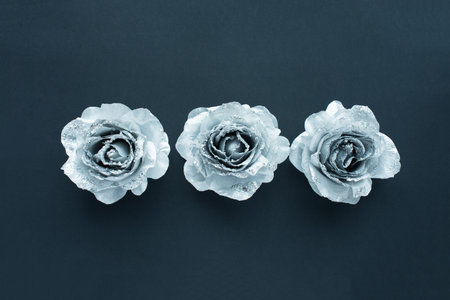 Black background for text with silver glittering roses. Valentine day and love feminine concept.