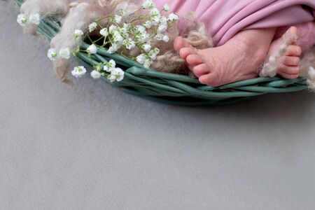 Feet of the newborn baby. pink color. mother's day. little girl in pink bodysuit lies on brown rabbit fur.の写真素材
