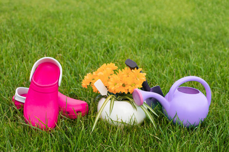 Gardening. work in the garden. tools, watering can and flower in a pot on a background of green...