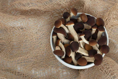 mushrooms, honey mushrooms in a plate, on sacking. Copy spaceの写真素材