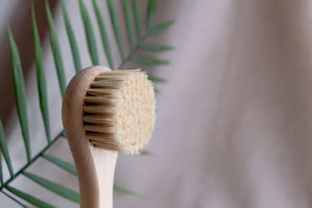 Facial massage brush with natural bristles on a linen background with bark and palm leaf. eco friendly cosmetics concept.の写真素材