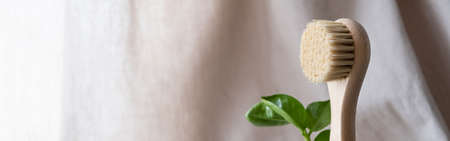 banner. Facial massage brush with natural bristles on a linen background with bark and green plant. eco friendly cosmetics concept.の写真素材