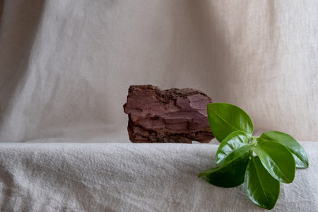 Natural stand of bark tree for presentation and exhibitions on pastel background. Abstract podium...