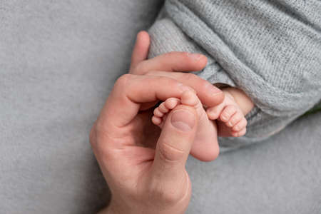 The father is holding the feet of the newborn baby. gray color. tenderness. Father's day conceptの写真素材