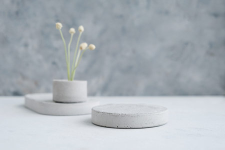 Empty pedestal or product display concrete podium with dry minimalistic flowers and nature leaves on...
