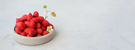 Red berries of wild strawberries on a gray concrete background. Summer concept in minimalism. Copy spaceの写真素材