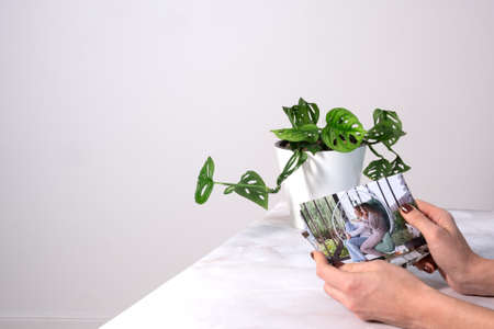 woman sitting at desk and looking at printed photos, remember nostalgia for a day of rest. photography cards, background. Mock up.の写真素材