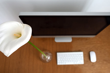 Workplace in a minimalistic style. Monitor, keyboard and mouse on a wooden table next to a home flower and calla lilies. Copy space.の写真素材