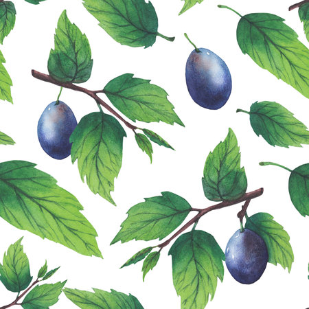 Pattern of watercolor plum tree branches with green leaves and fruits.の写真素材