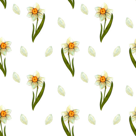 Seamless pattern. Spring watercolor daffodils. Flowers with stem and leaf. Spring botanical printの写真素材