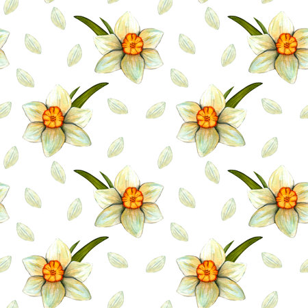 Seamless pattern with watercolor daffodils. Flowers with stem and leaf. Spring botanical printの写真素材