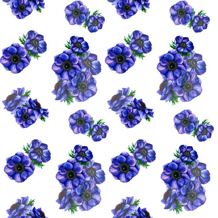 Hand drawn watercolor seamless pattern flowers violet anemone on white background. Spring floral botanical illustration isolated for greeting cards, wedding invitation, birthday and mothers day cards.の写真素材