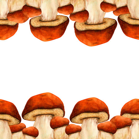 Watercolor autumn border with mushrooms isolated on white background. Hand painted illustration for the design of stationery, posters, wallpaper. Wildlife clip art for print, fabric or backgroundの写真素材