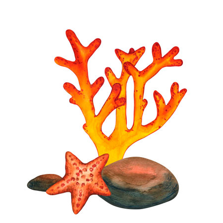 Watercolor illustrations red coral reef, starfish and underwater stones. Hand painted botanical clip art sea grass, plants for kids print, decoration and designの写真素材