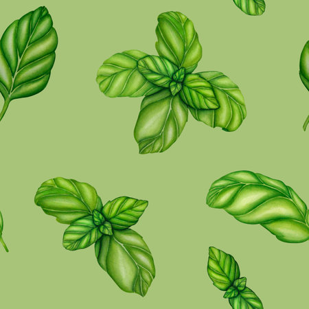 Basil drawing seamless pattern. Isolated plant with leaves background. Herbal watercolor illustration. Detailed organic product sketch. Cooking spicy ingredientの写真素材