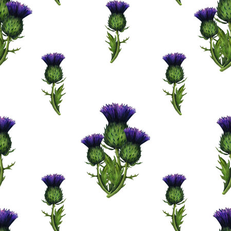 Watercolor seamless pattern thistle, wild flowers illustration, meadow herbs. Hand painted illustration for the design of stationery, posters, wallpaper. Wildlife clip art for print, fabricの写真素材