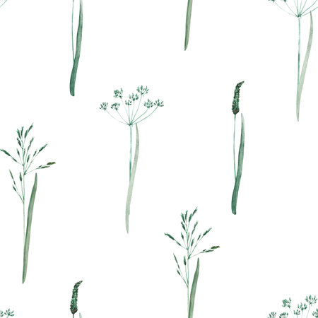 Watercolor illustration grass seamless pattern. Hand drawn background with field flower and green leaves on isolated background. Vintage wallpaper with herbs and wildflowersの写真素材