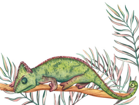 Watercolor illustration of green chameleon on a branch with space for text. Exotic African animal isolated on white background. Tropical template for design of cards and invitationの写真素材