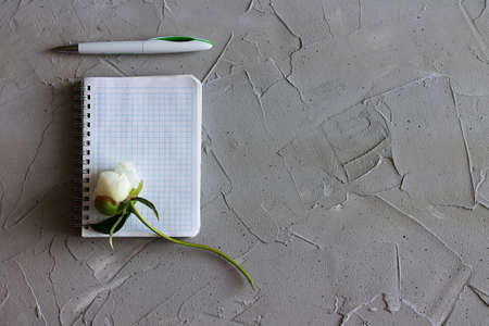 notebook, flower and pen on a gray surfaceの写真素材
