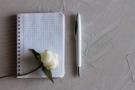 notebook, flower and pen on a gray surfaceの写真素材