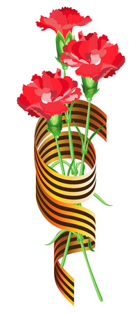 Red carnations intertwined with St. George ribbon on a transparent background. Vector isolated object.のイラスト素材