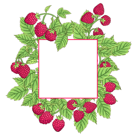 Frame made of raspberries on the branches on a white background. Raspberry dark line drawn and painted in bright colors. Vector illustrationのイラスト素材