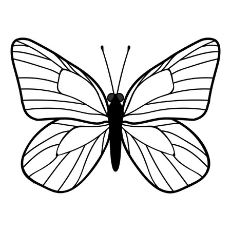 Cartoon butterfly in a flat style. Insect icon. Vector illustrationのイラスト素材